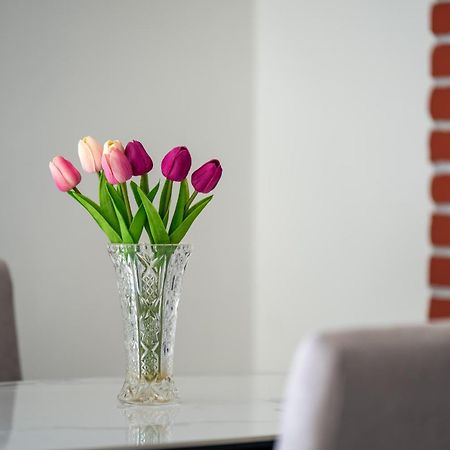 Apartment Gioia Rovinj Extérieur photo