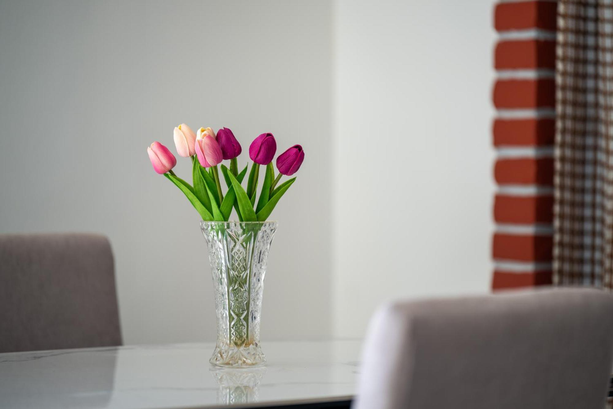 Apartment Gioia Rovinj Extérieur photo